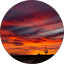 Lorraine S. Avatar