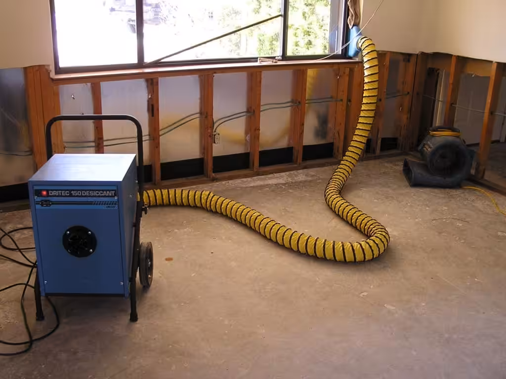 Water cleanup following a drain or sewer backup