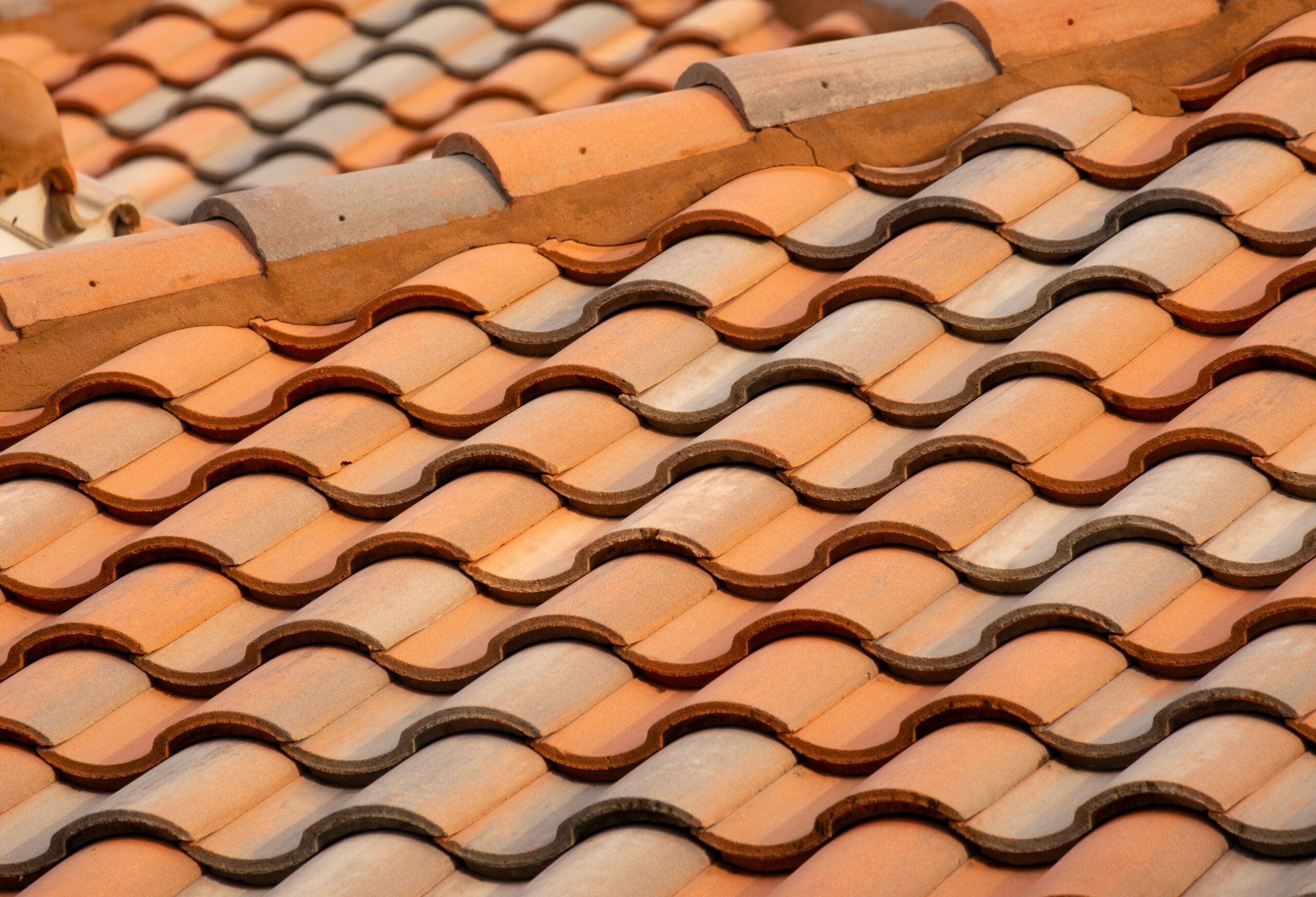Featured image for “Five Essential Roof Maintenance Tips”