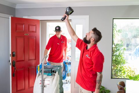Featured image for “How to Handle Ceiling Water Damage”