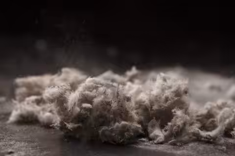 Featured image for “Asbestos Testing: Empower Your Home & Safety”