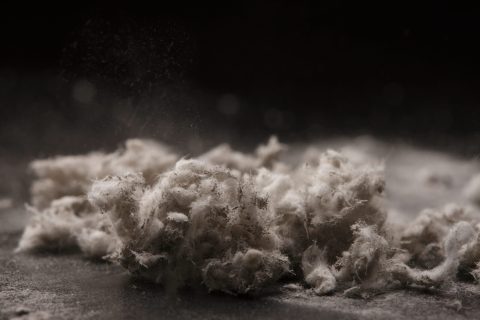 Featured image for “Asbestos Testing: Empower Your Home & Safety”