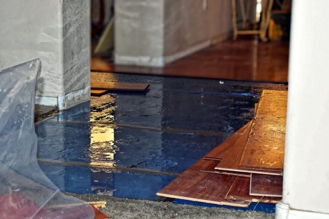 Featured image for “Emergency Restoration in Arizona’s Commercial Sector”
