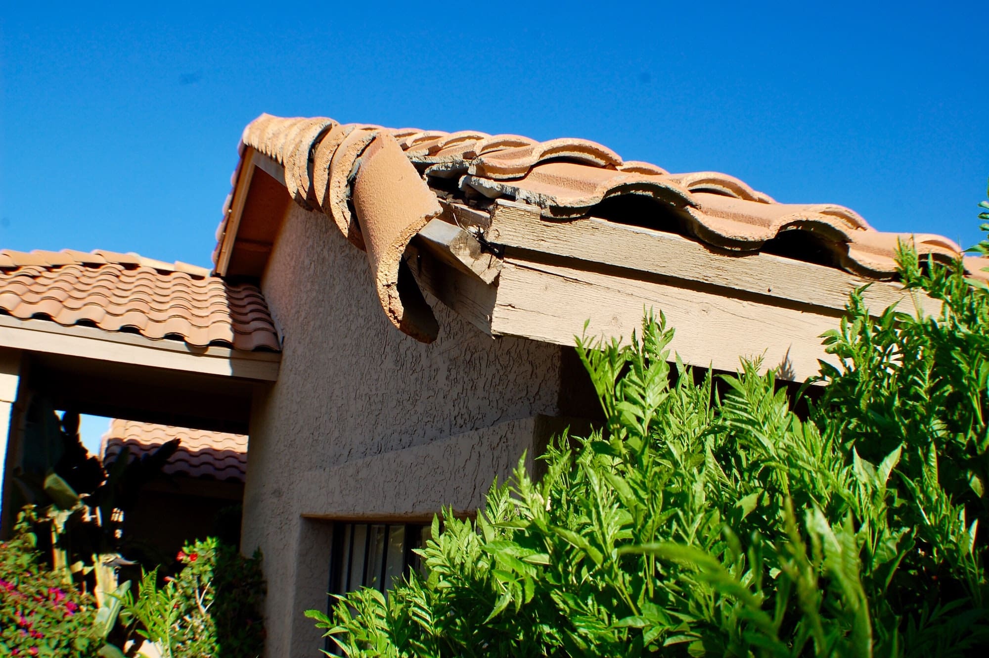 Dealing with Storm Damage in Arizona