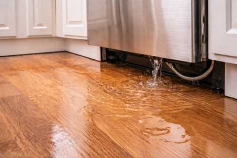 Featured image for “6 Common Causes of Water Damage in Arizona Homes”