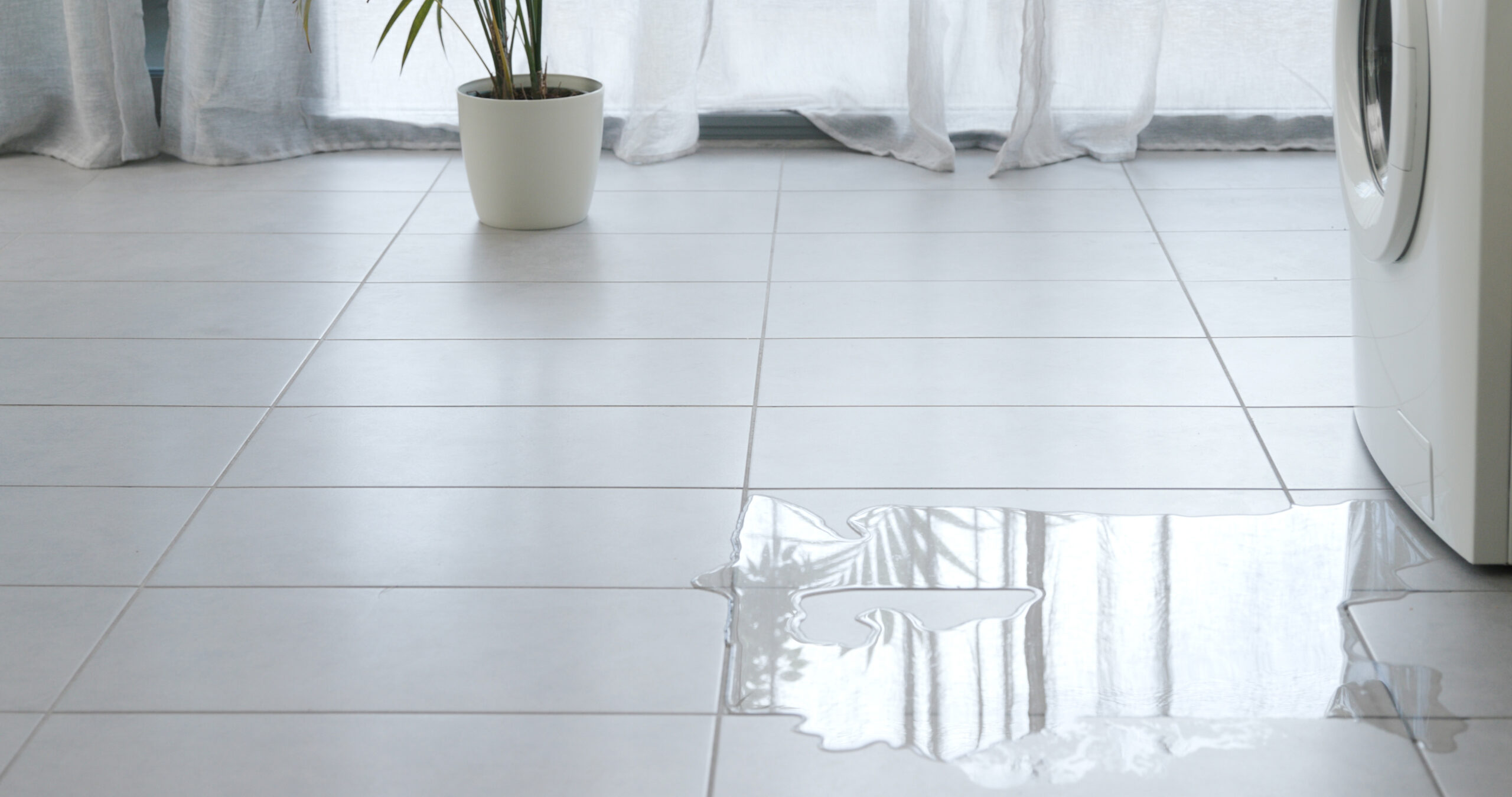 Featured image for “Washing Machine Leak Water Damage: What to Do Immediately and When to Call a Professional”