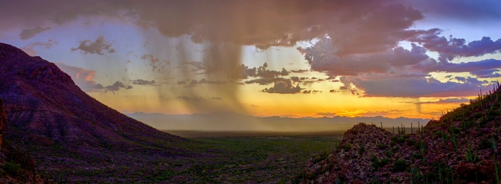 Featured image for “Monsoon Damage Restoration in Arizona: Roof Leaks, Flooding, Fallen Trees & Reconstruction”
